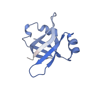 21619_6wd0_v_v1-2
Cryo-EM of elongating ribosome with EF-Tu*GTP elucidates tRNA proofreading (Cognate Structure I-A)