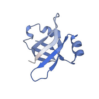 21619_6wd0_v_v1-3
Cryo-EM of elongating ribosome with EF-Tu*GTP elucidates tRNA proofreading (Cognate Structure I-A)