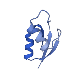 21619_6wd0_z_v1-2
Cryo-EM of elongating ribosome with EF-Tu*GTP elucidates tRNA proofreading (Cognate Structure I-A)