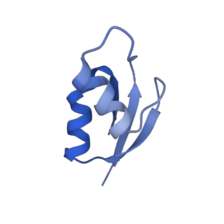 21619_6wd0_z_v1-3
Cryo-EM of elongating ribosome with EF-Tu*GTP elucidates tRNA proofreading (Cognate Structure I-A)