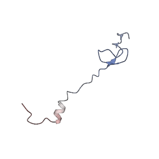 21620_6wd1_B_v1-2
Cryo-EM of elongating ribosome with EF-Tu*GTP elucidates tRNA proofreading (Cognate Structure I-B)