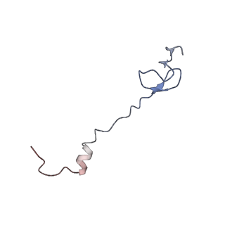 21620_6wd1_B_v1-3
Cryo-EM of elongating ribosome with EF-Tu*GTP elucidates tRNA proofreading (Cognate Structure I-B)