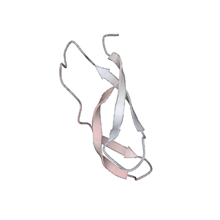 21620_6wd1_C_v1-3
Cryo-EM of elongating ribosome with EF-Tu*GTP elucidates tRNA proofreading (Cognate Structure I-B)