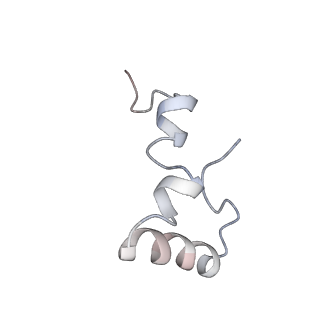 21620_6wd1_D_v1-2
Cryo-EM of elongating ribosome with EF-Tu*GTP elucidates tRNA proofreading (Cognate Structure I-B)