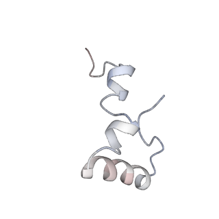 21620_6wd1_D_v1-3
Cryo-EM of elongating ribosome with EF-Tu*GTP elucidates tRNA proofreading (Cognate Structure I-B)