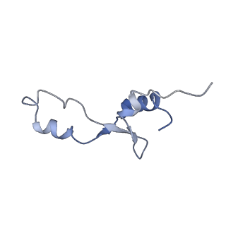 21620_6wd1_E_v1-2
Cryo-EM of elongating ribosome with EF-Tu*GTP elucidates tRNA proofreading (Cognate Structure I-B)