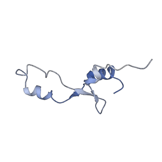 21620_6wd1_E_v1-3
Cryo-EM of elongating ribosome with EF-Tu*GTP elucidates tRNA proofreading (Cognate Structure I-B)