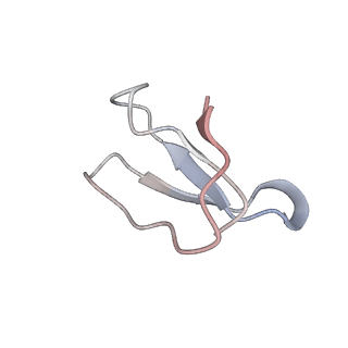 21620_6wd1_F_v1-3
Cryo-EM of elongating ribosome with EF-Tu*GTP elucidates tRNA proofreading (Cognate Structure I-B)