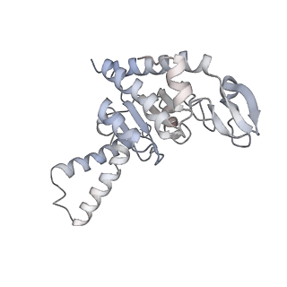 21620_6wd1_G_v1-2
Cryo-EM of elongating ribosome with EF-Tu*GTP elucidates tRNA proofreading (Cognate Structure I-B)