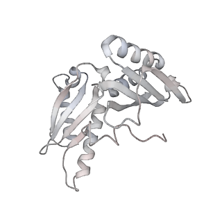 21620_6wd1_H_v1-2
Cryo-EM of elongating ribosome with EF-Tu*GTP elucidates tRNA proofreading (Cognate Structure I-B)