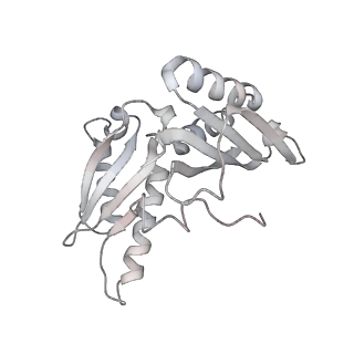 21620_6wd1_H_v1-3
Cryo-EM of elongating ribosome with EF-Tu*GTP elucidates tRNA proofreading (Cognate Structure I-B)