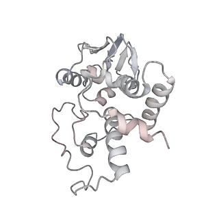 21620_6wd1_I_v1-2
Cryo-EM of elongating ribosome with EF-Tu*GTP elucidates tRNA proofreading (Cognate Structure I-B)