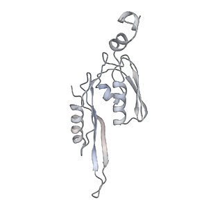 21620_6wd1_J_v1-2
Cryo-EM of elongating ribosome with EF-Tu*GTP elucidates tRNA proofreading (Cognate Structure I-B)