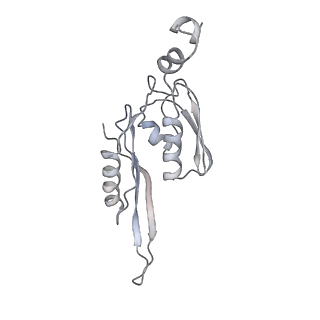 21620_6wd1_J_v1-3
Cryo-EM of elongating ribosome with EF-Tu*GTP elucidates tRNA proofreading (Cognate Structure I-B)