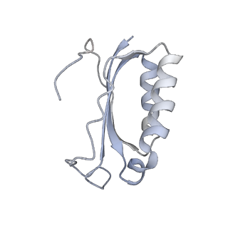 21620_6wd1_K_v1-2
Cryo-EM of elongating ribosome with EF-Tu*GTP elucidates tRNA proofreading (Cognate Structure I-B)