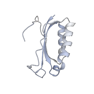 21620_6wd1_K_v1-3
Cryo-EM of elongating ribosome with EF-Tu*GTP elucidates tRNA proofreading (Cognate Structure I-B)