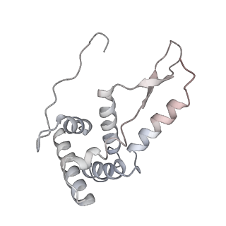 21620_6wd1_L_v1-2
Cryo-EM of elongating ribosome with EF-Tu*GTP elucidates tRNA proofreading (Cognate Structure I-B)