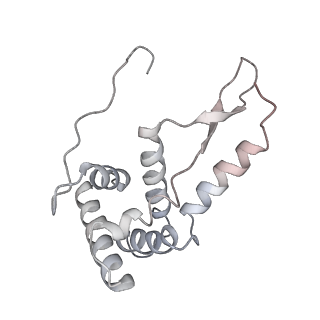 21620_6wd1_L_v1-3
Cryo-EM of elongating ribosome with EF-Tu*GTP elucidates tRNA proofreading (Cognate Structure I-B)