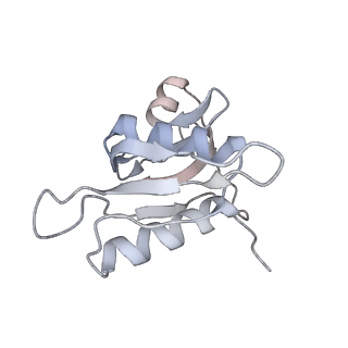 21620_6wd1_M_v1-2
Cryo-EM of elongating ribosome with EF-Tu*GTP elucidates tRNA proofreading (Cognate Structure I-B)