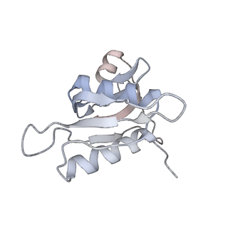 21620_6wd1_M_v1-3
Cryo-EM of elongating ribosome with EF-Tu*GTP elucidates tRNA proofreading (Cognate Structure I-B)