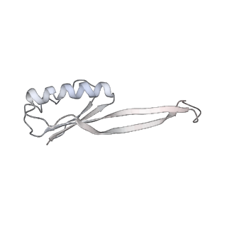 21620_6wd1_O_v1-3
Cryo-EM of elongating ribosome with EF-Tu*GTP elucidates tRNA proofreading (Cognate Structure I-B)