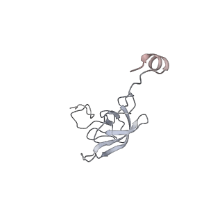 21620_6wd1_Q_v1-2
Cryo-EM of elongating ribosome with EF-Tu*GTP elucidates tRNA proofreading (Cognate Structure I-B)