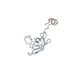 21620_6wd1_Q_v1-3
Cryo-EM of elongating ribosome with EF-Tu*GTP elucidates tRNA proofreading (Cognate Structure I-B)