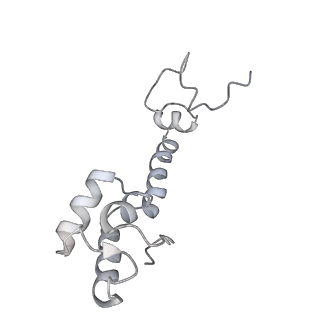 21620_6wd1_R_v1-2
Cryo-EM of elongating ribosome with EF-Tu*GTP elucidates tRNA proofreading (Cognate Structure I-B)