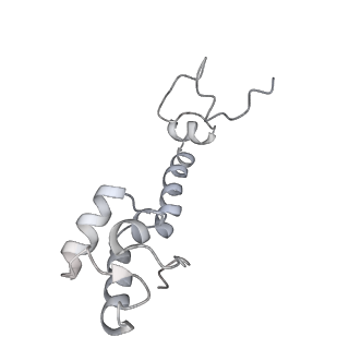 21620_6wd1_R_v1-3
Cryo-EM of elongating ribosome with EF-Tu*GTP elucidates tRNA proofreading (Cognate Structure I-B)