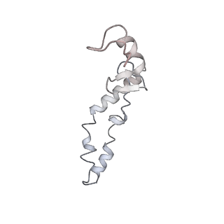 21620_6wd1_S_v1-2
Cryo-EM of elongating ribosome with EF-Tu*GTP elucidates tRNA proofreading (Cognate Structure I-B)
