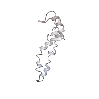 21620_6wd1_S_v1-3
Cryo-EM of elongating ribosome with EF-Tu*GTP elucidates tRNA proofreading (Cognate Structure I-B)