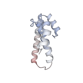 21620_6wd1_T_v1-2
Cryo-EM of elongating ribosome with EF-Tu*GTP elucidates tRNA proofreading (Cognate Structure I-B)