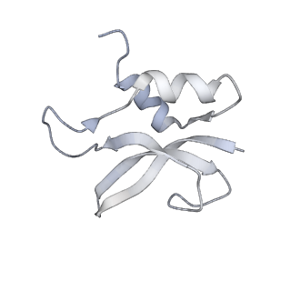 21620_6wd1_U_v1-2
Cryo-EM of elongating ribosome with EF-Tu*GTP elucidates tRNA proofreading (Cognate Structure I-B)
