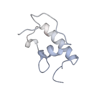 21620_6wd1_W_v1-2
Cryo-EM of elongating ribosome with EF-Tu*GTP elucidates tRNA proofreading (Cognate Structure I-B)