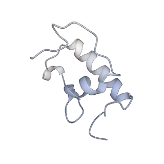 21620_6wd1_W_v1-3
Cryo-EM of elongating ribosome with EF-Tu*GTP elucidates tRNA proofreading (Cognate Structure I-B)