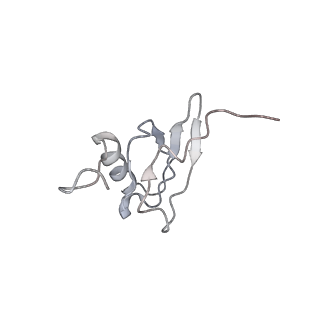 21620_6wd1_X_v1-2
Cryo-EM of elongating ribosome with EF-Tu*GTP elucidates tRNA proofreading (Cognate Structure I-B)