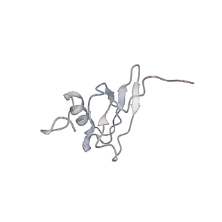 21620_6wd1_X_v1-3
Cryo-EM of elongating ribosome with EF-Tu*GTP elucidates tRNA proofreading (Cognate Structure I-B)