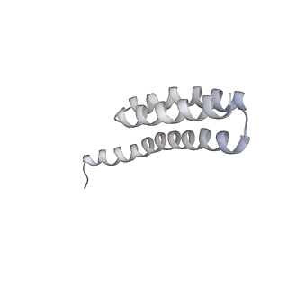 21620_6wd1_Y_v1-3
Cryo-EM of elongating ribosome with EF-Tu*GTP elucidates tRNA proofreading (Cognate Structure I-B)