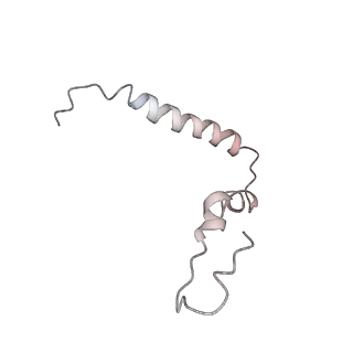21620_6wd1_Z_v1-2
Cryo-EM of elongating ribosome with EF-Tu*GTP elucidates tRNA proofreading (Cognate Structure I-B)