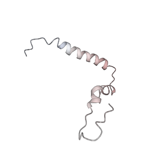 21620_6wd1_Z_v1-3
Cryo-EM of elongating ribosome with EF-Tu*GTP elucidates tRNA proofreading (Cognate Structure I-B)