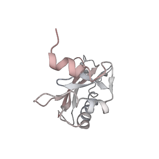 21620_6wd1_a_v1-2
Cryo-EM of elongating ribosome with EF-Tu*GTP elucidates tRNA proofreading (Cognate Structure I-B)