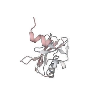 21620_6wd1_a_v1-3
Cryo-EM of elongating ribosome with EF-Tu*GTP elucidates tRNA proofreading (Cognate Structure I-B)