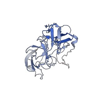 21620_6wd1_b_v1-2
Cryo-EM of elongating ribosome with EF-Tu*GTP elucidates tRNA proofreading (Cognate Structure I-B)
