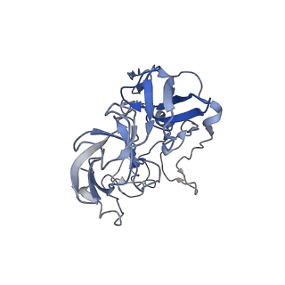 21620_6wd1_b_v1-3
Cryo-EM of elongating ribosome with EF-Tu*GTP elucidates tRNA proofreading (Cognate Structure I-B)