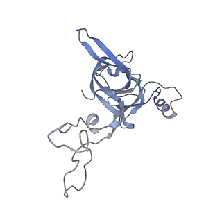 21620_6wd1_c_v1-3
Cryo-EM of elongating ribosome with EF-Tu*GTP elucidates tRNA proofreading (Cognate Structure I-B)