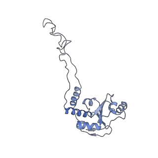 21620_6wd1_d_v1-2
Cryo-EM of elongating ribosome with EF-Tu*GTP elucidates tRNA proofreading (Cognate Structure I-B)