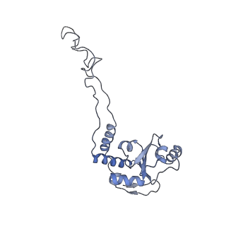 21620_6wd1_d_v1-3
Cryo-EM of elongating ribosome with EF-Tu*GTP elucidates tRNA proofreading (Cognate Structure I-B)