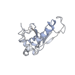 21620_6wd1_e_v1-2
Cryo-EM of elongating ribosome with EF-Tu*GTP elucidates tRNA proofreading (Cognate Structure I-B)