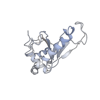 21620_6wd1_e_v1-3
Cryo-EM of elongating ribosome with EF-Tu*GTP elucidates tRNA proofreading (Cognate Structure I-B)