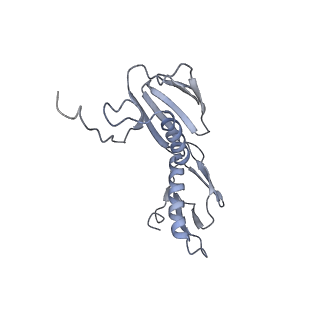 21620_6wd1_f_v1-2
Cryo-EM of elongating ribosome with EF-Tu*GTP elucidates tRNA proofreading (Cognate Structure I-B)